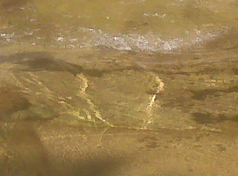 picture 7.